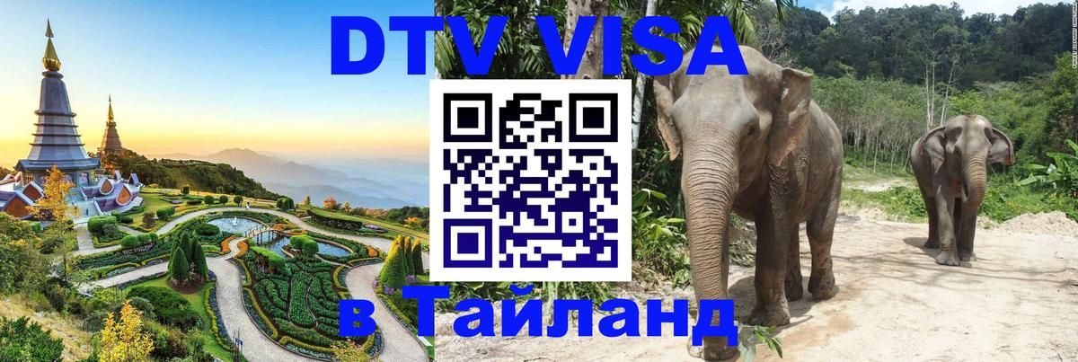 Оформление DTV визы под ключ: стоимость и тарифы, только загранпаспорт - 